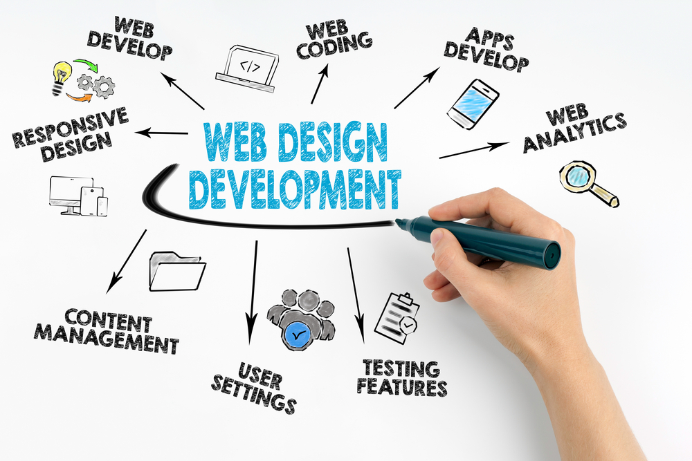 web design company in punjabi bagh